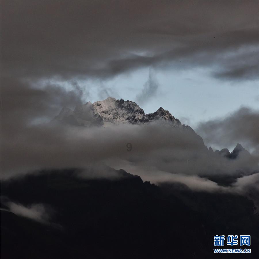 了解知识星球平台银渐层属于什么品种的猫,分享与学习互助的知识社区
