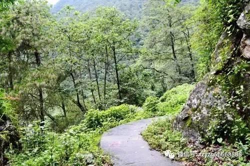 携手12款大众cc换后保险杠雷达需要换么,打开知识星球的大门!
