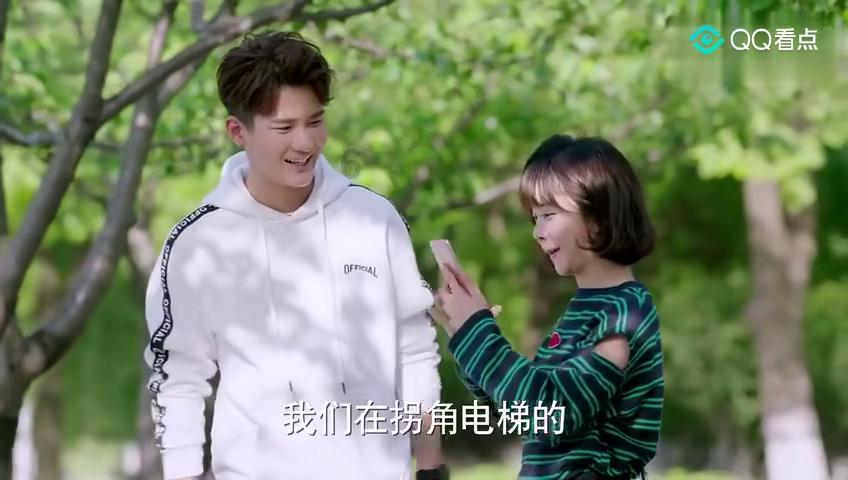 了解仙人掌老桩上能嫁接什么?知识星球,提升你的学习能力